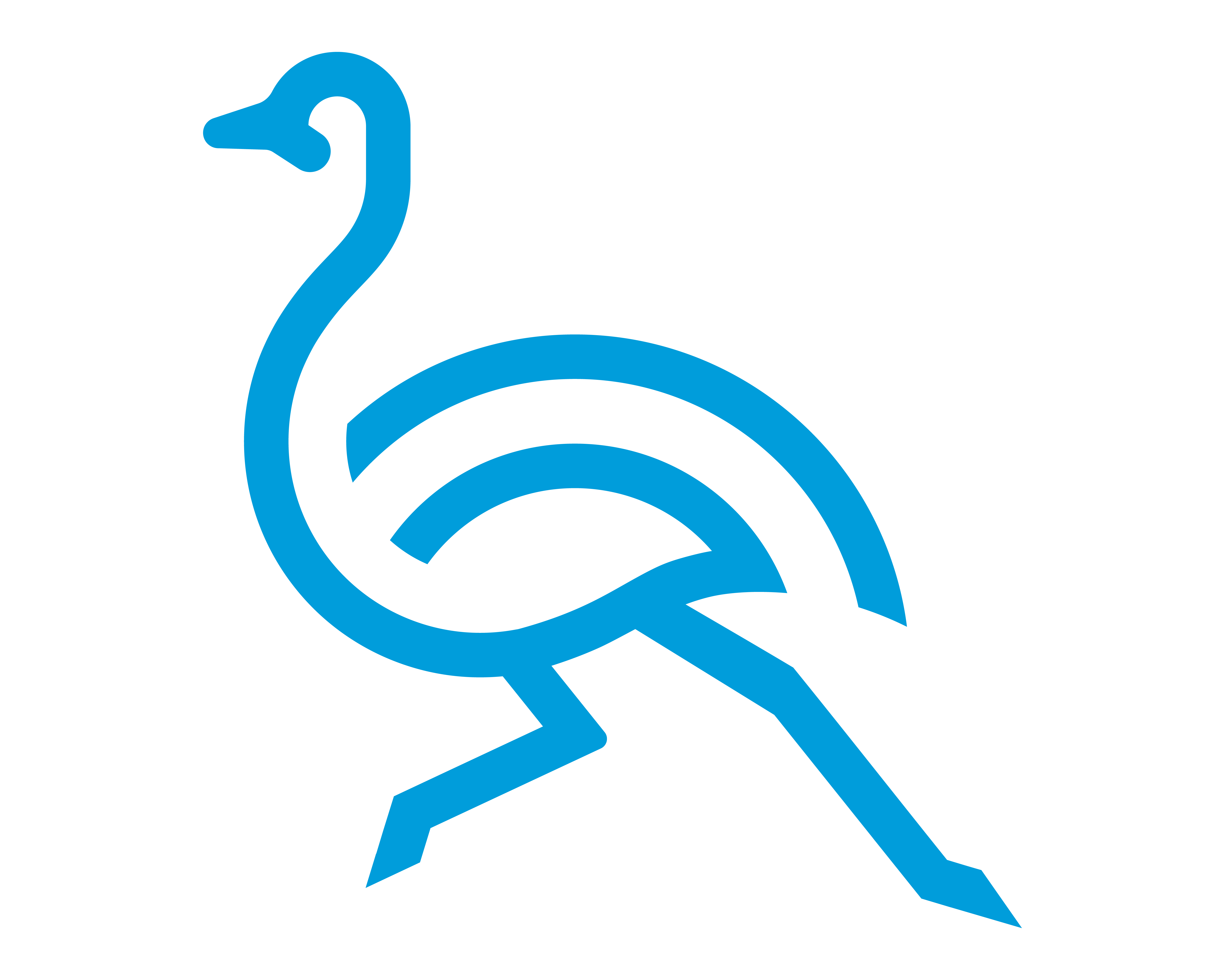 Suri